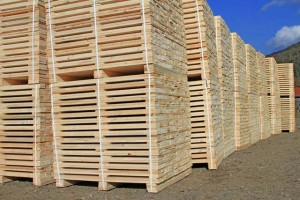 xondriki palletes | Ad Pallets